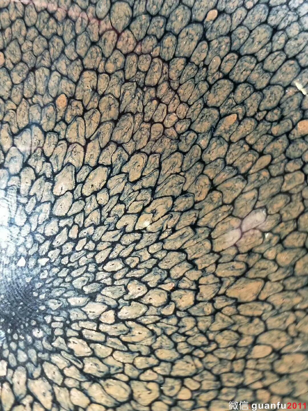 陳大鵬老師 鷓鴣斑：口徑10.5