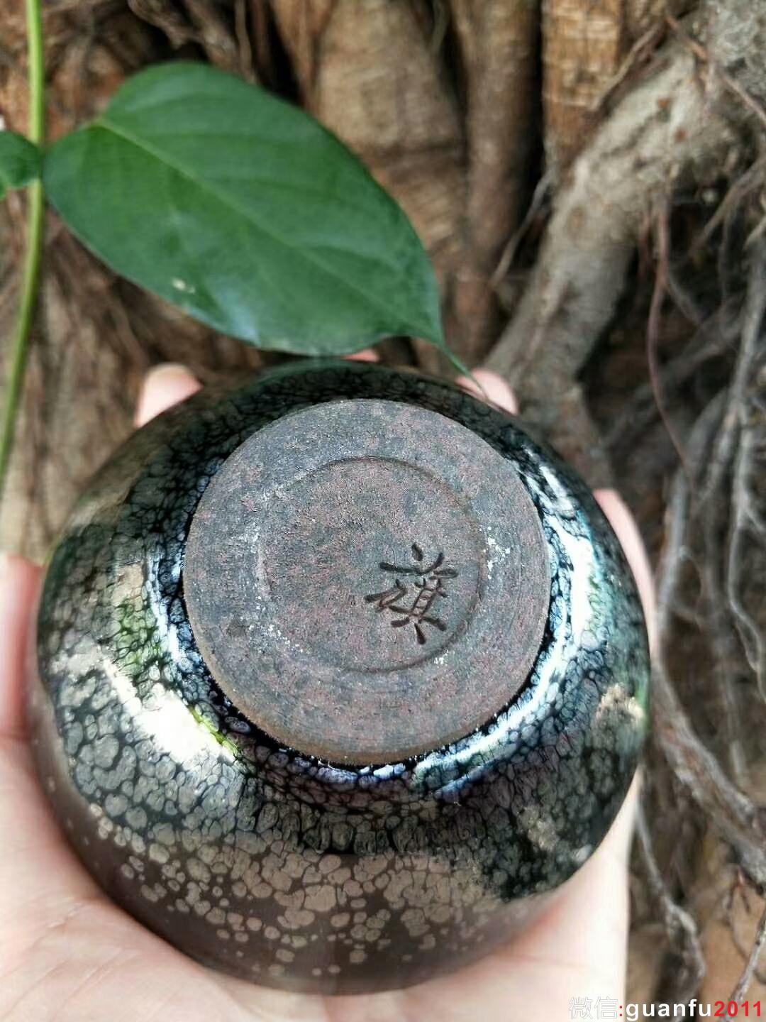 mmexport1529160831707