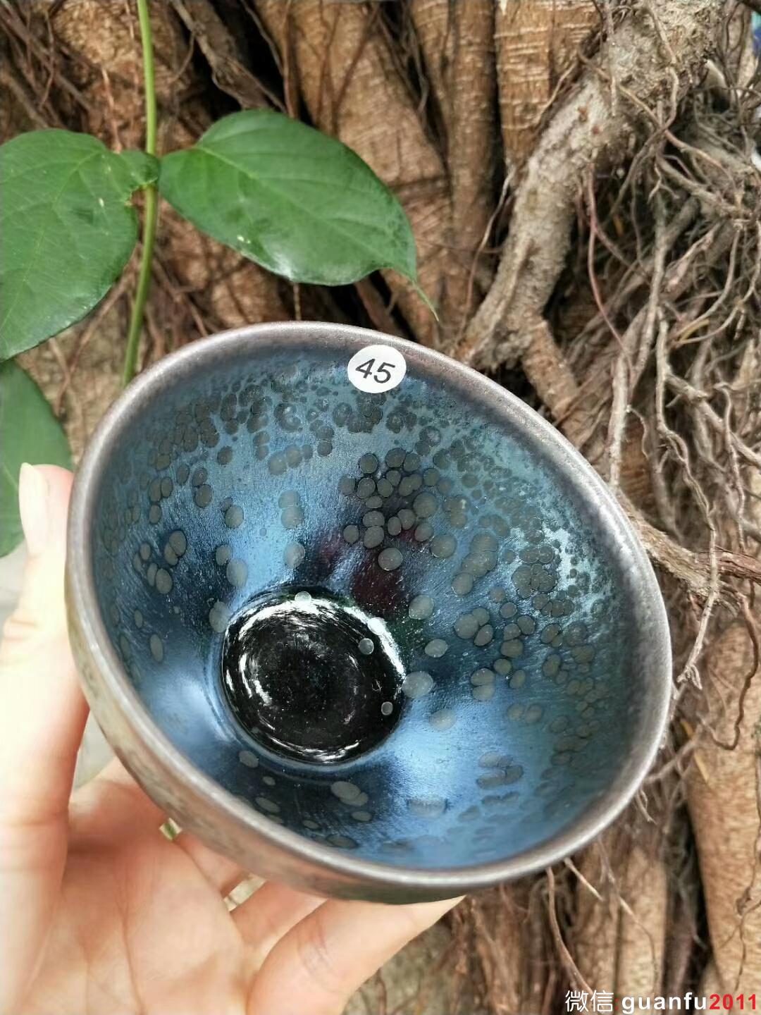 mmexport1529161124377