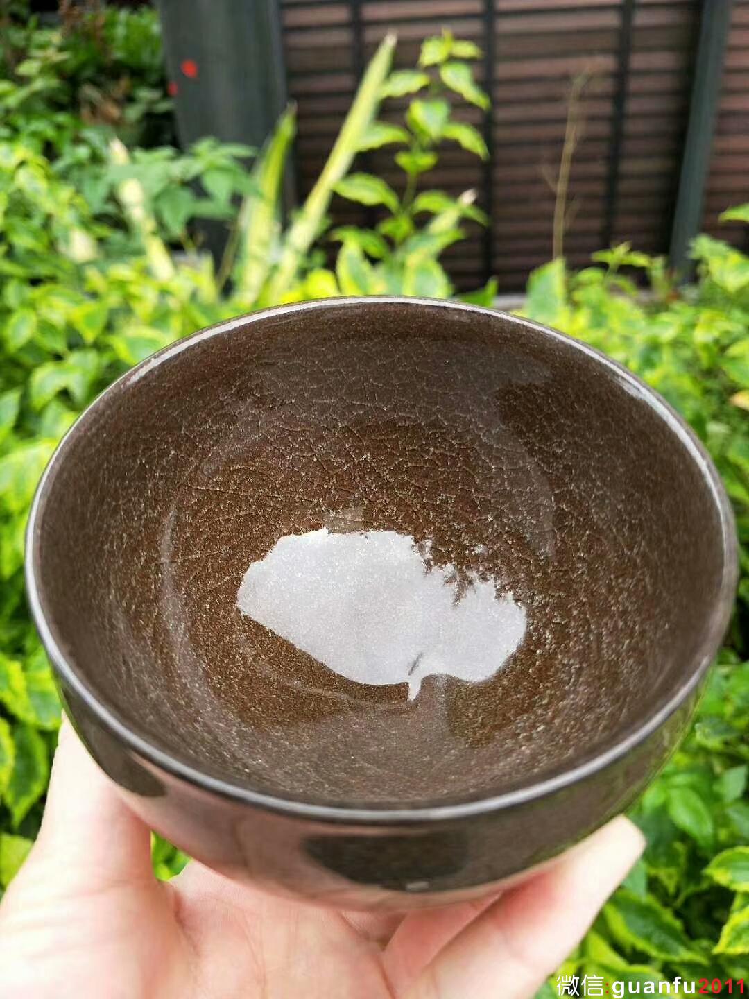 mmexport1529161239596