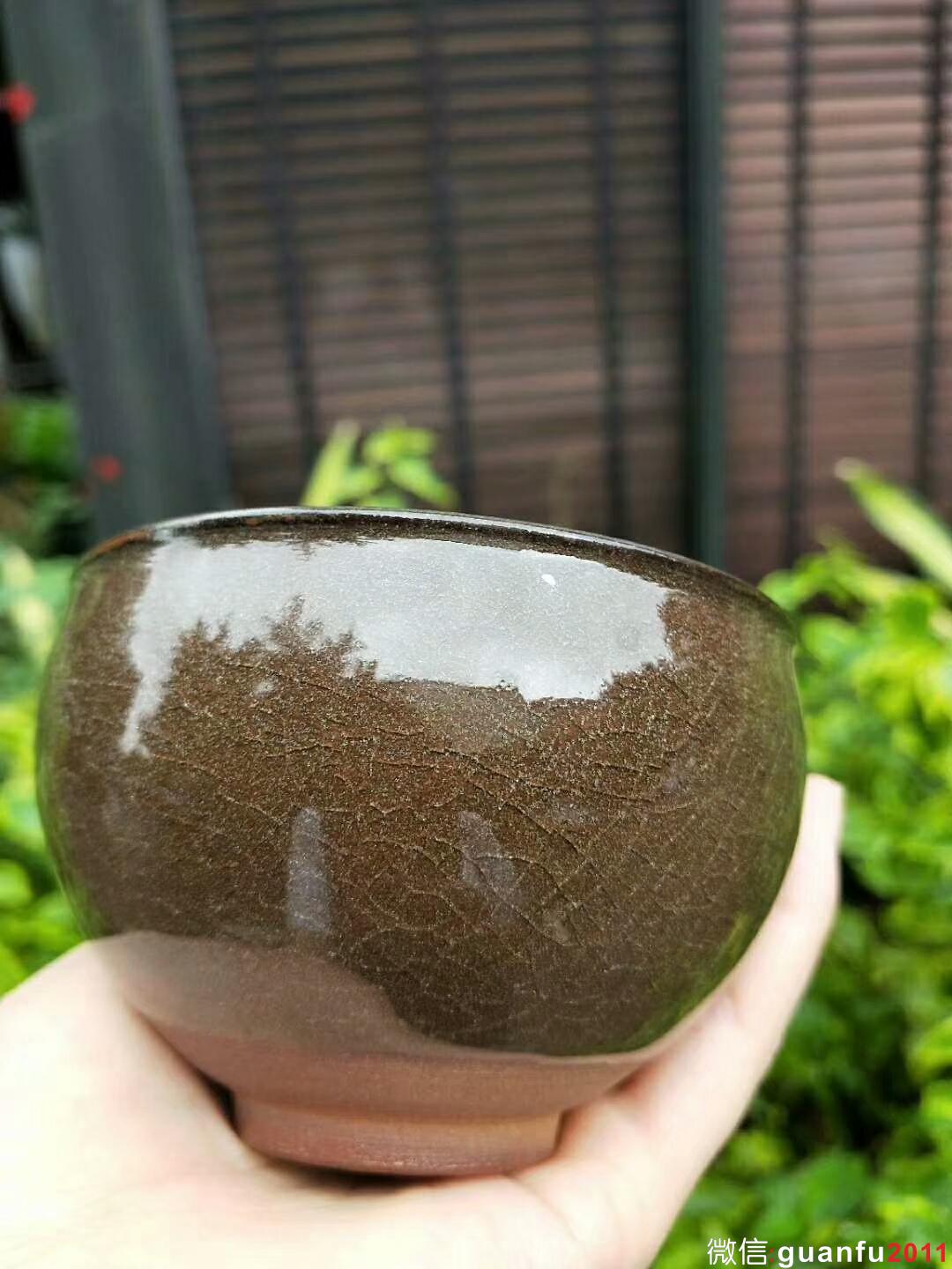 mmexport1529161244184