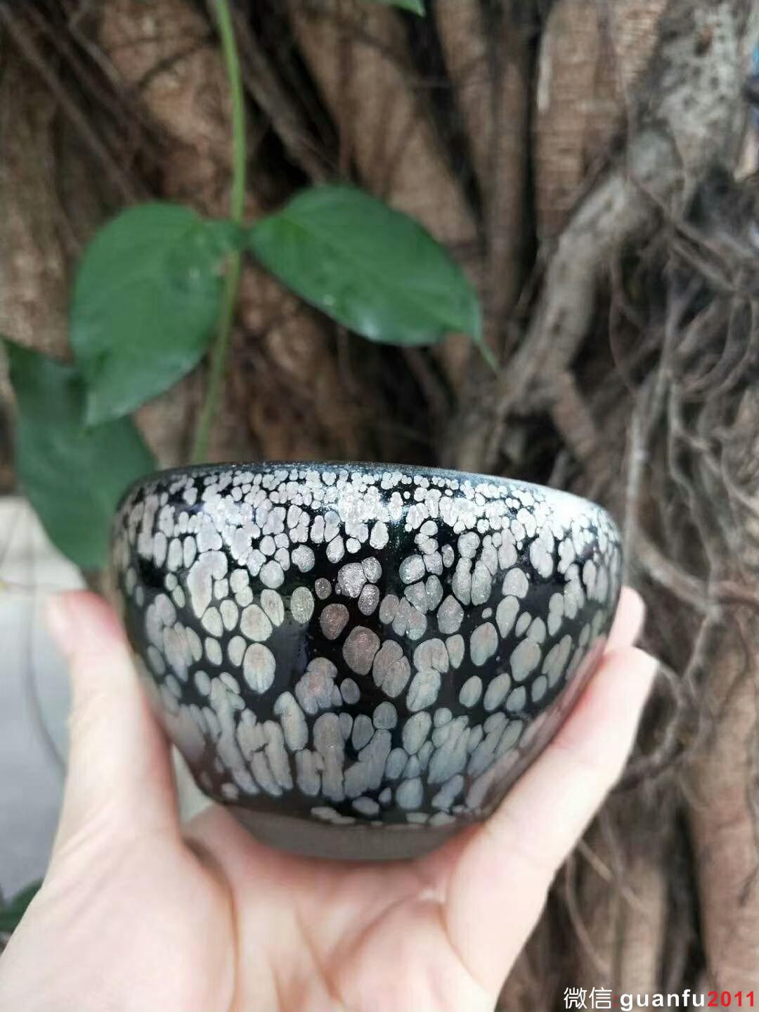 mmexport1529162648616