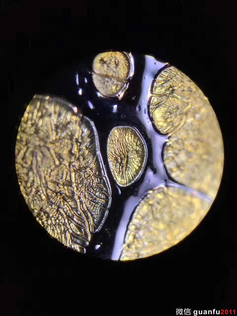 范澤鋒：老師作品 —金油滴 斗笠型 全稱“國(guó)家研究員級(jí)高級(jí)工藝美術(shù)師”中國(guó)天目第一人