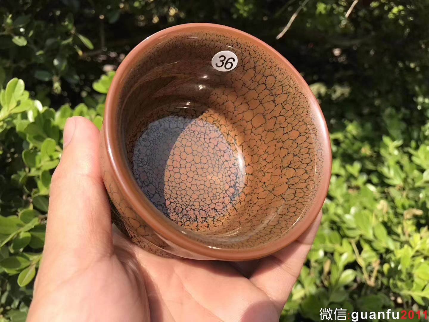 mmexport1529545151537