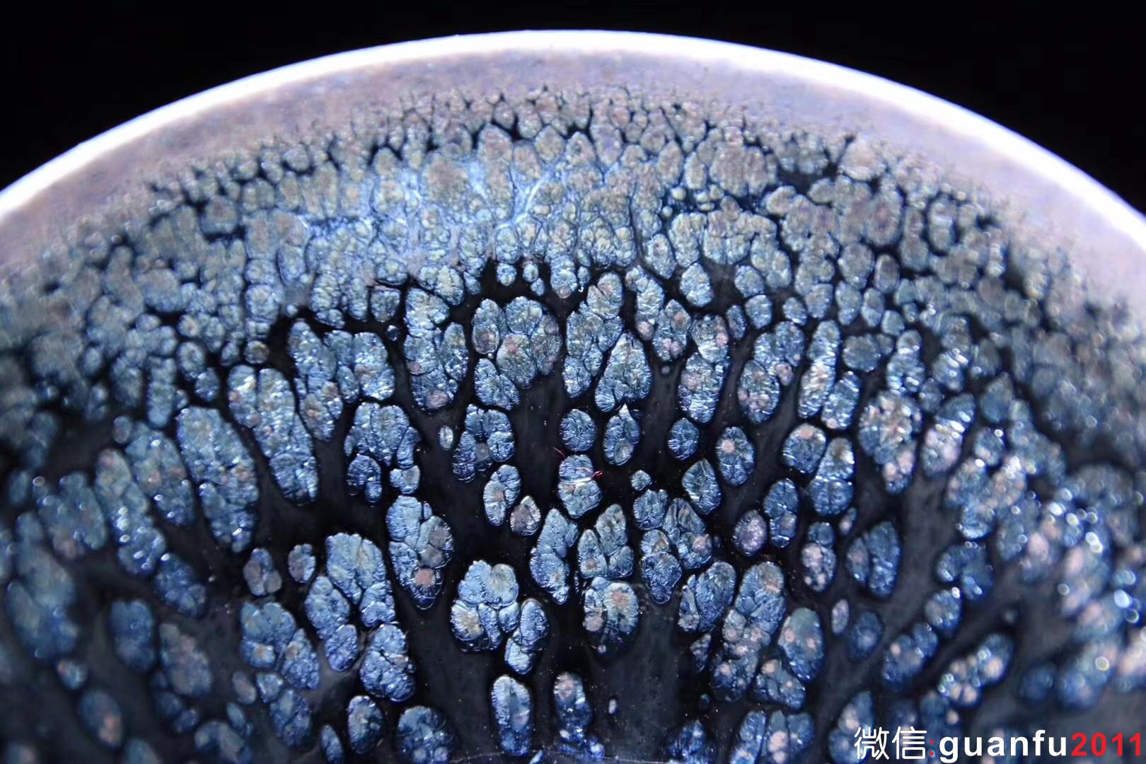 李達老師 鷓鴣斑