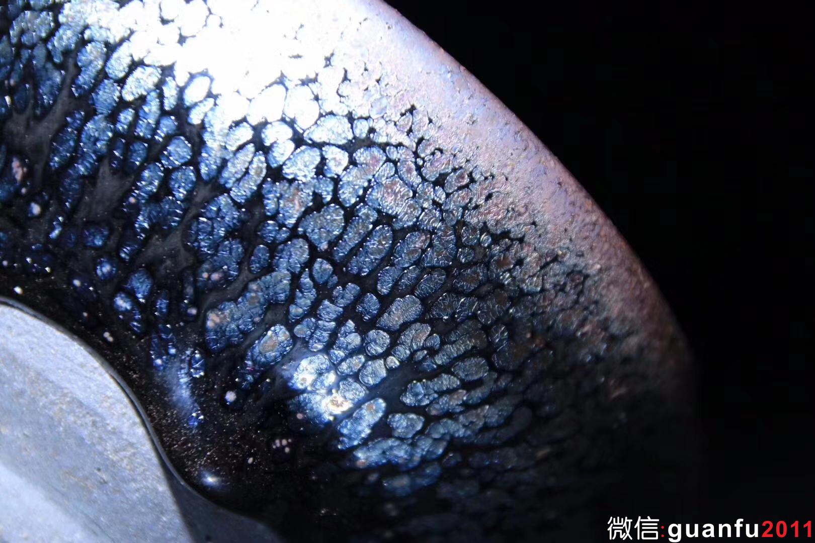 李達老師 鷓鴣斑