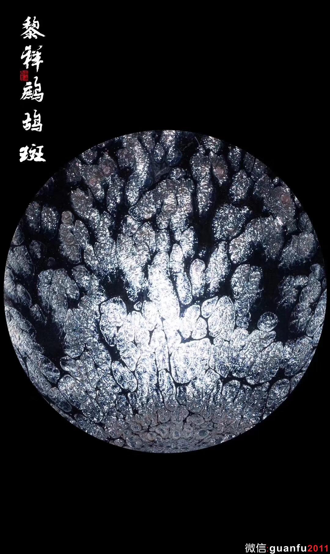 黎祥老師  鷓鴣斑