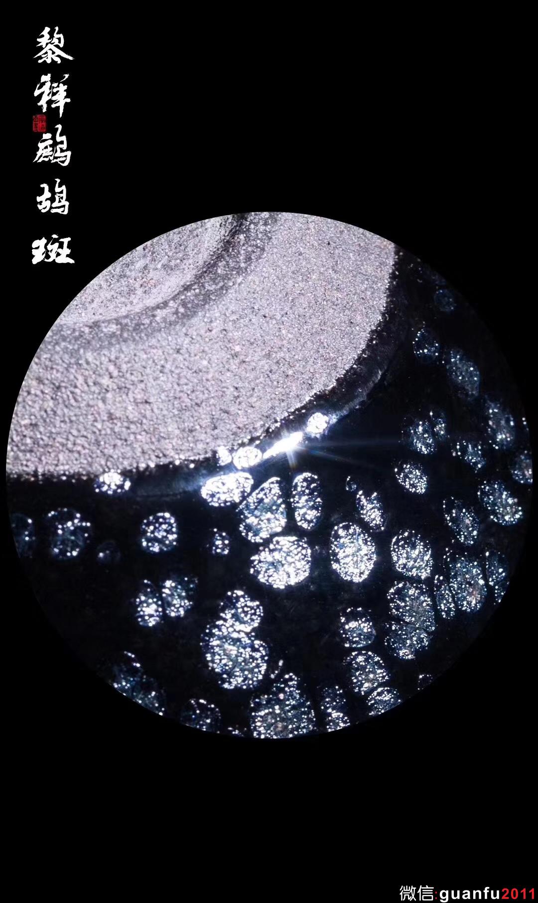 黎祥老師  鷓鴣斑