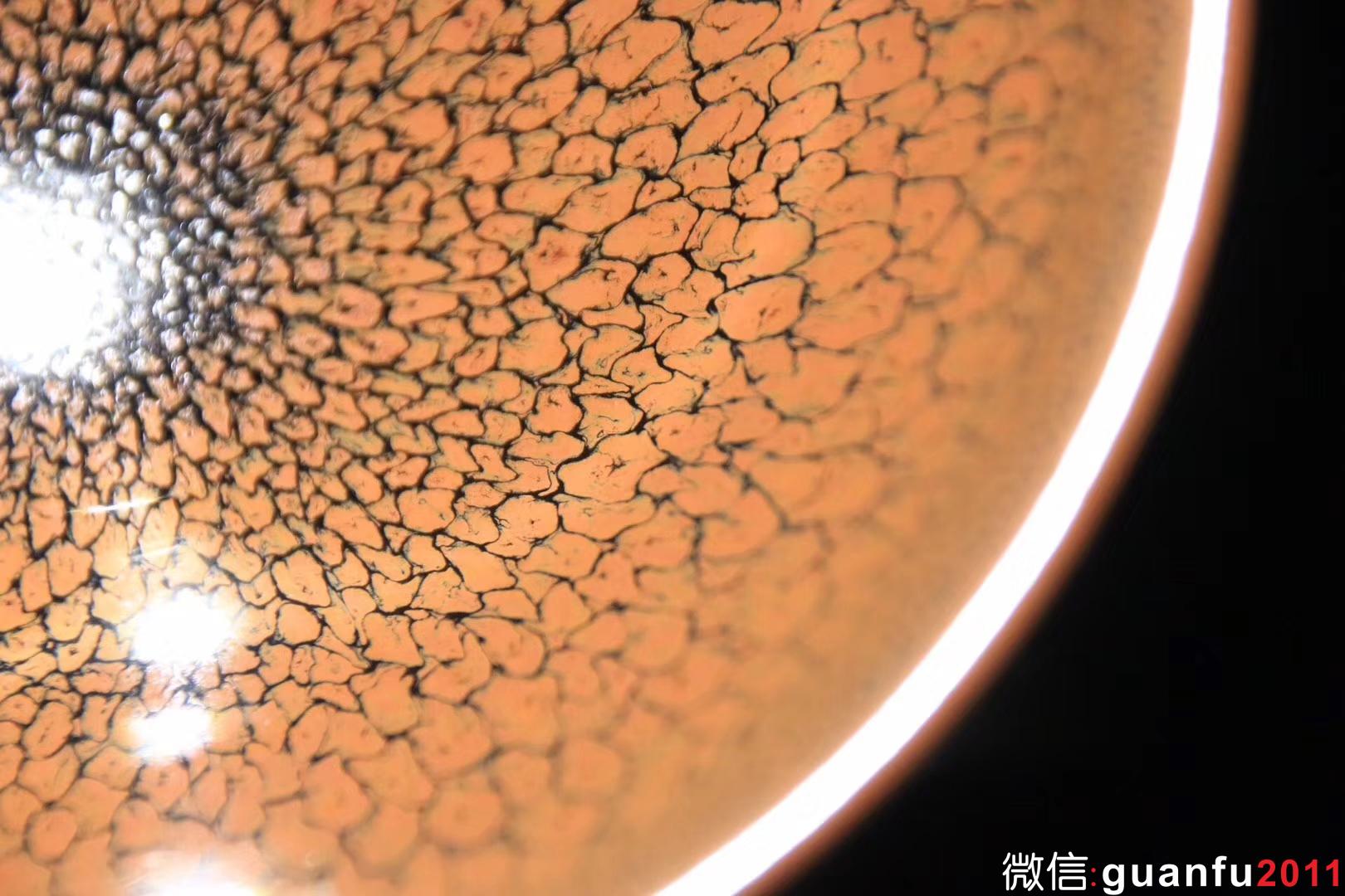 陳大鵬老師 黃鷓鴣 13.5 x 7.8公分