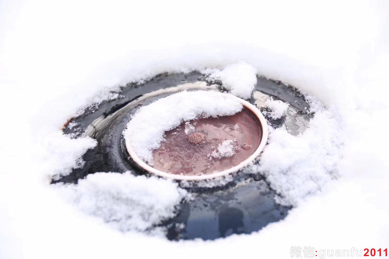 范澤鋒-老師 金木葉 （金邊）壺承 尺寸：15.8X2 一葉一菩提