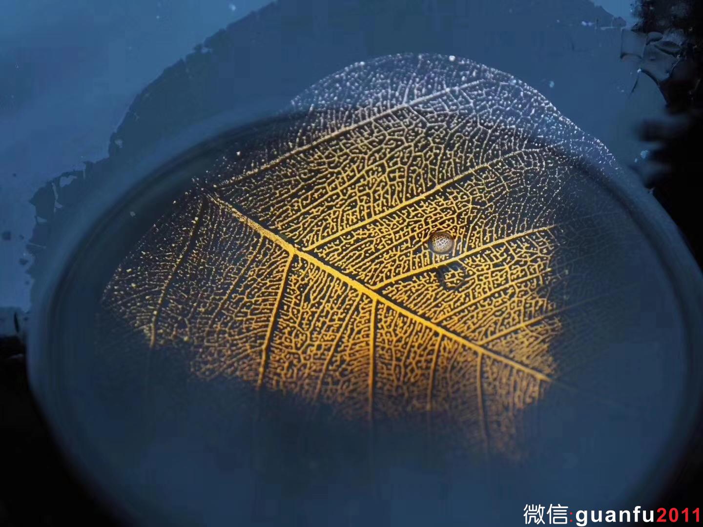 張中欽，一葉菩提【口徑9.8】