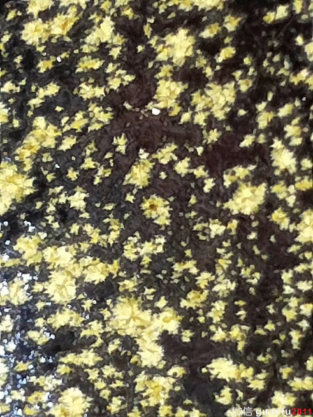 mmexport1529830903598