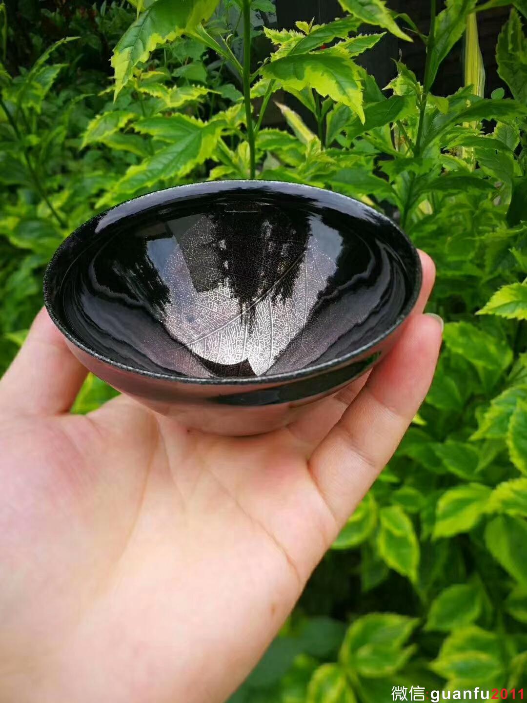 mmexport1529831219300