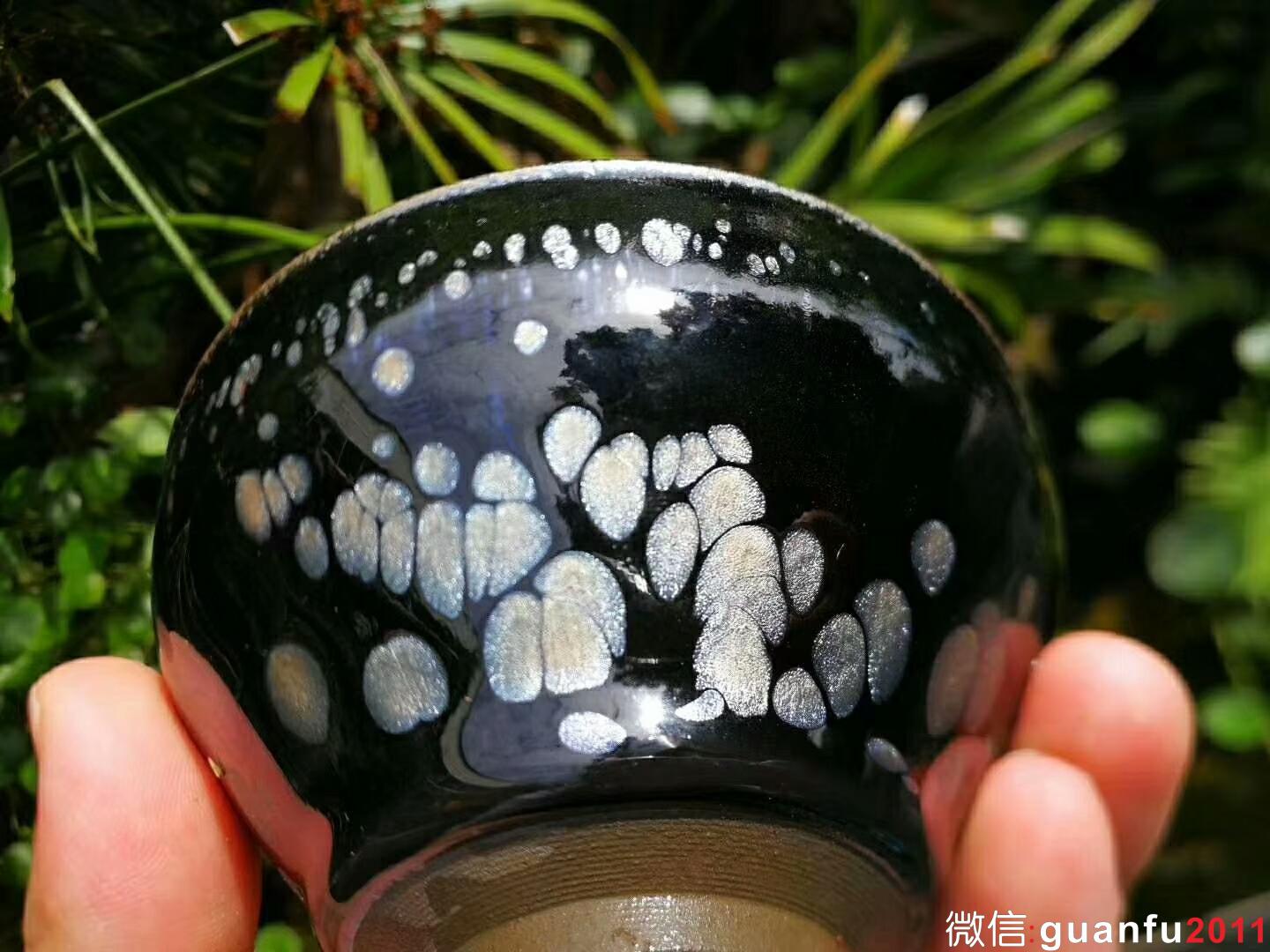 mmexport1529831287883