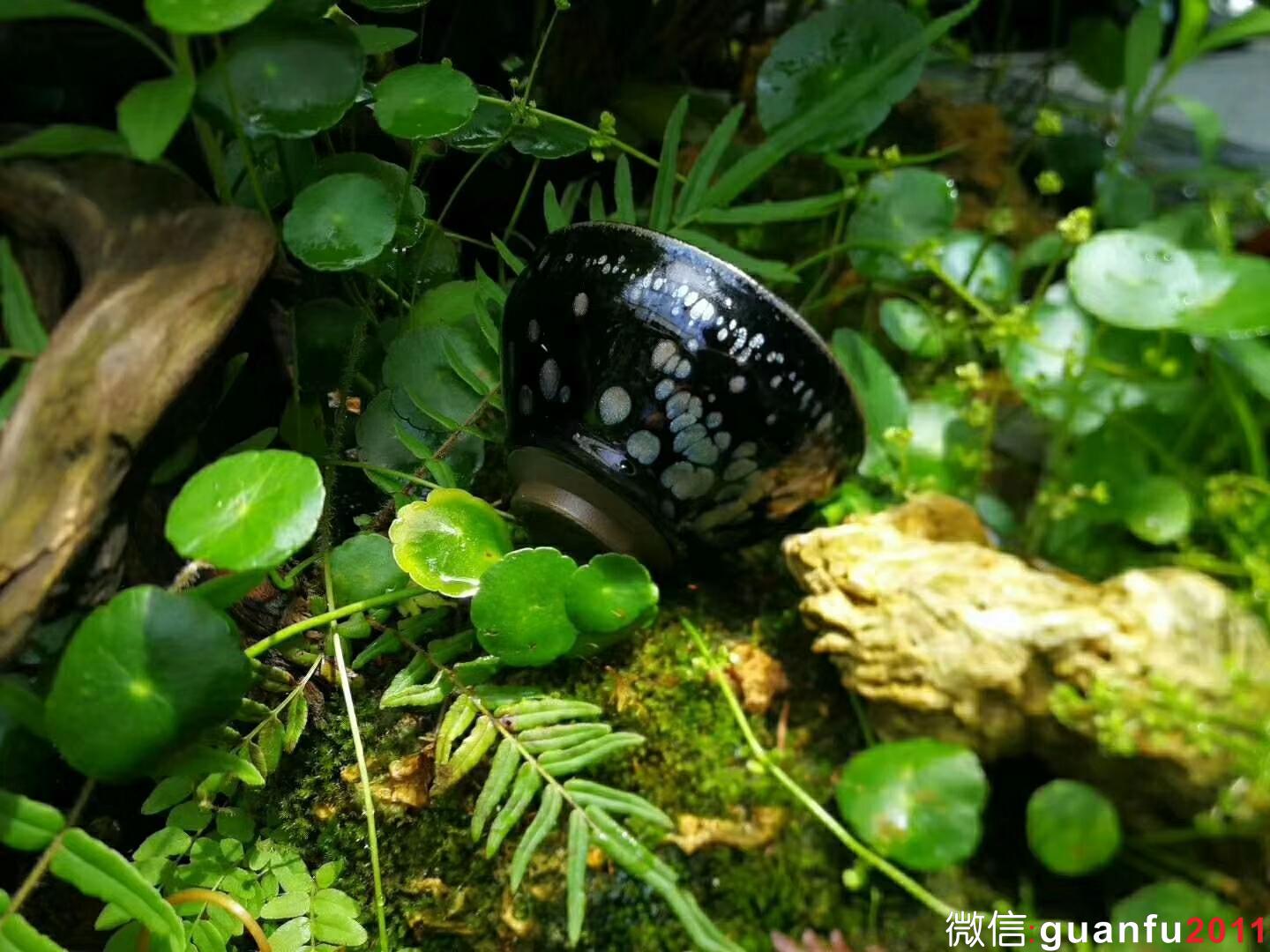 mmexport1529831293260