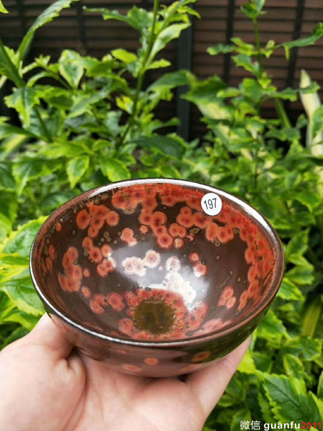 mmexport1529831452163