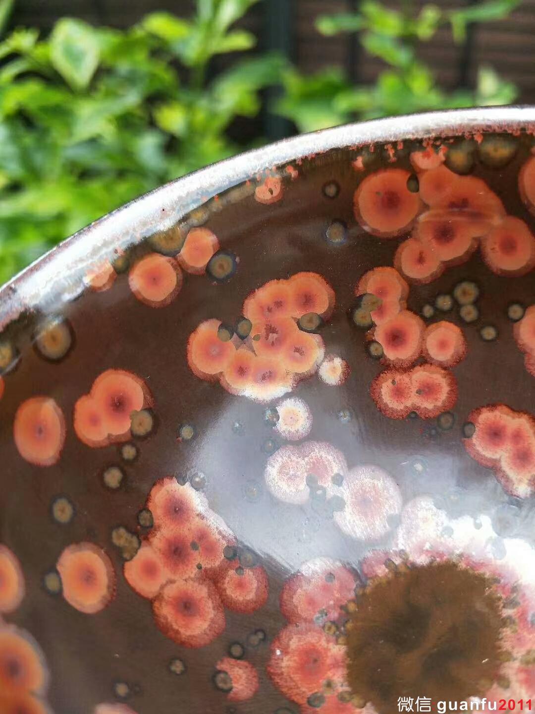 mmexport1529831455108