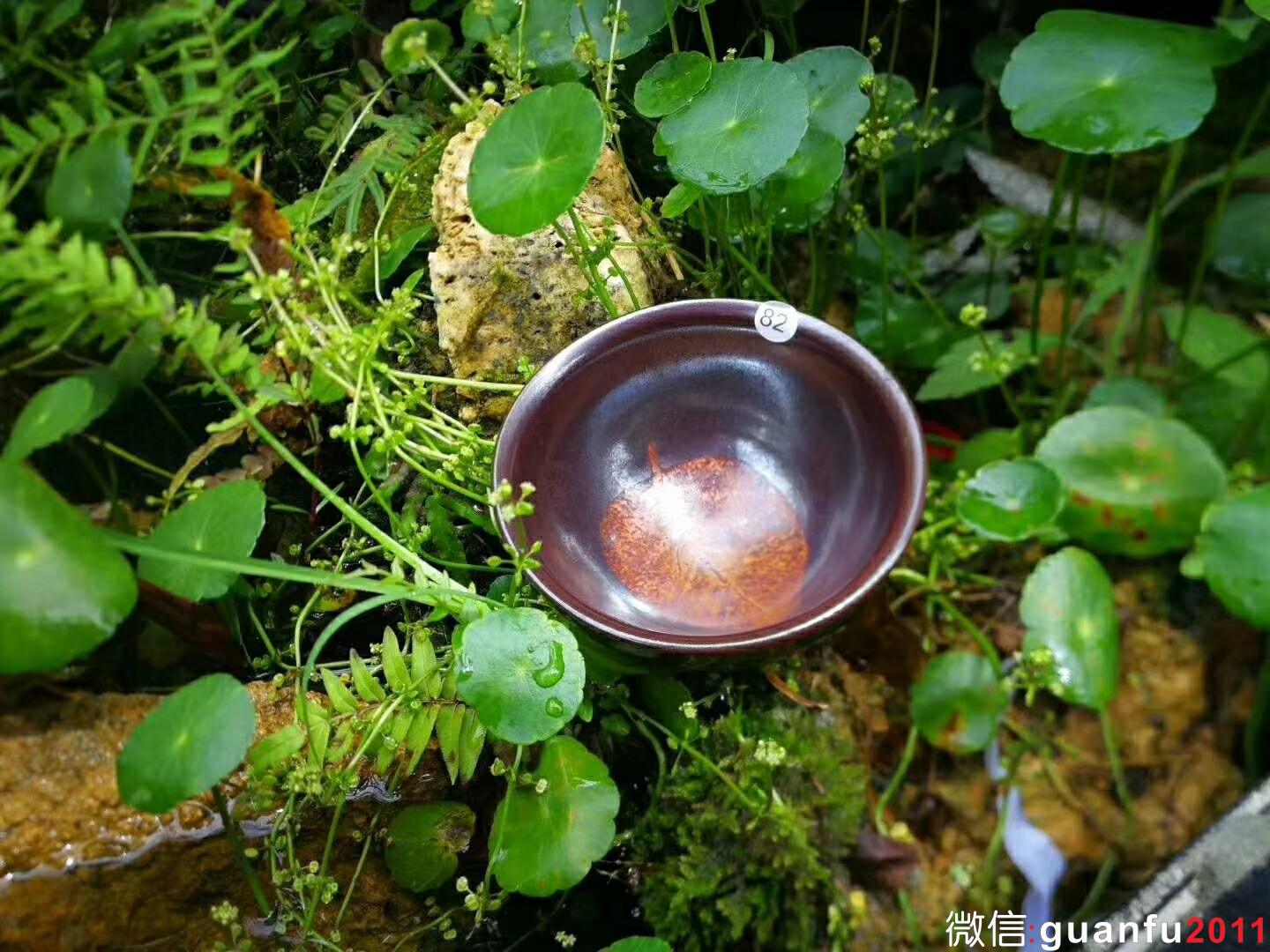 mmexport1529832406714