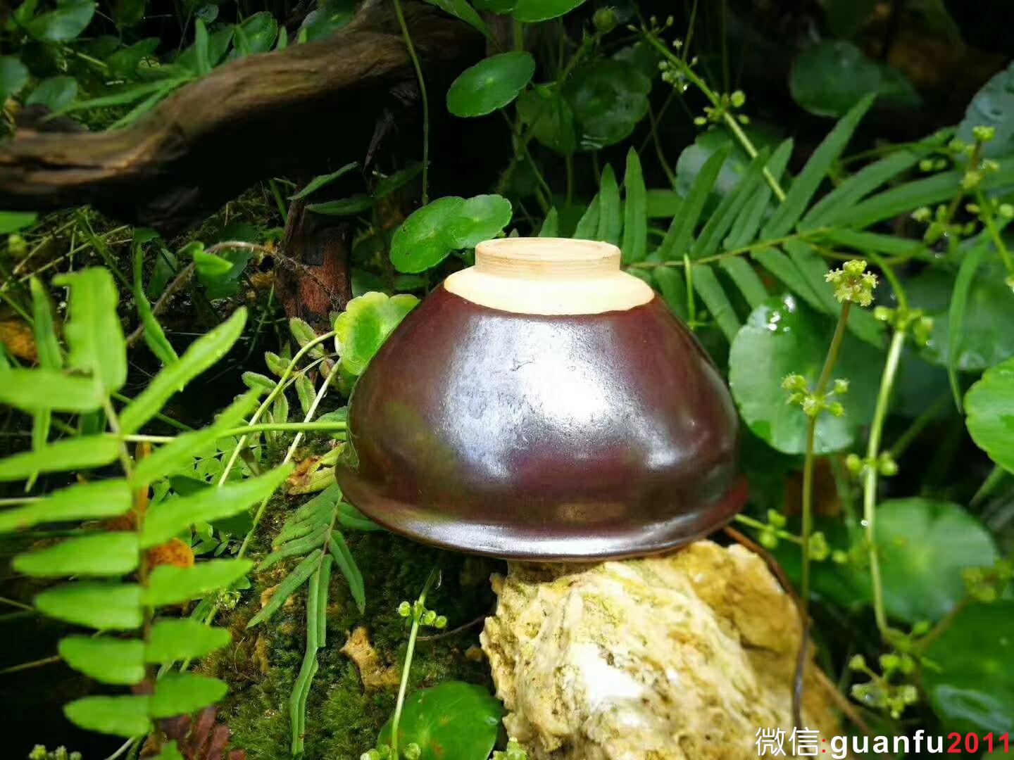 mmexport1529832421511