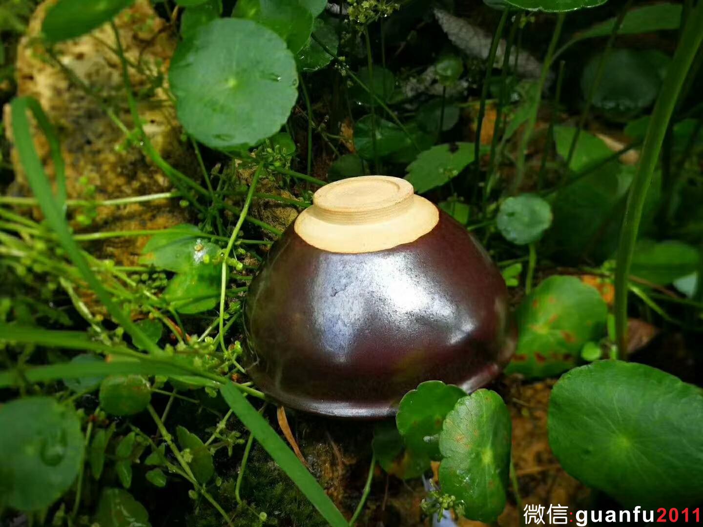 mmexport1529832425400