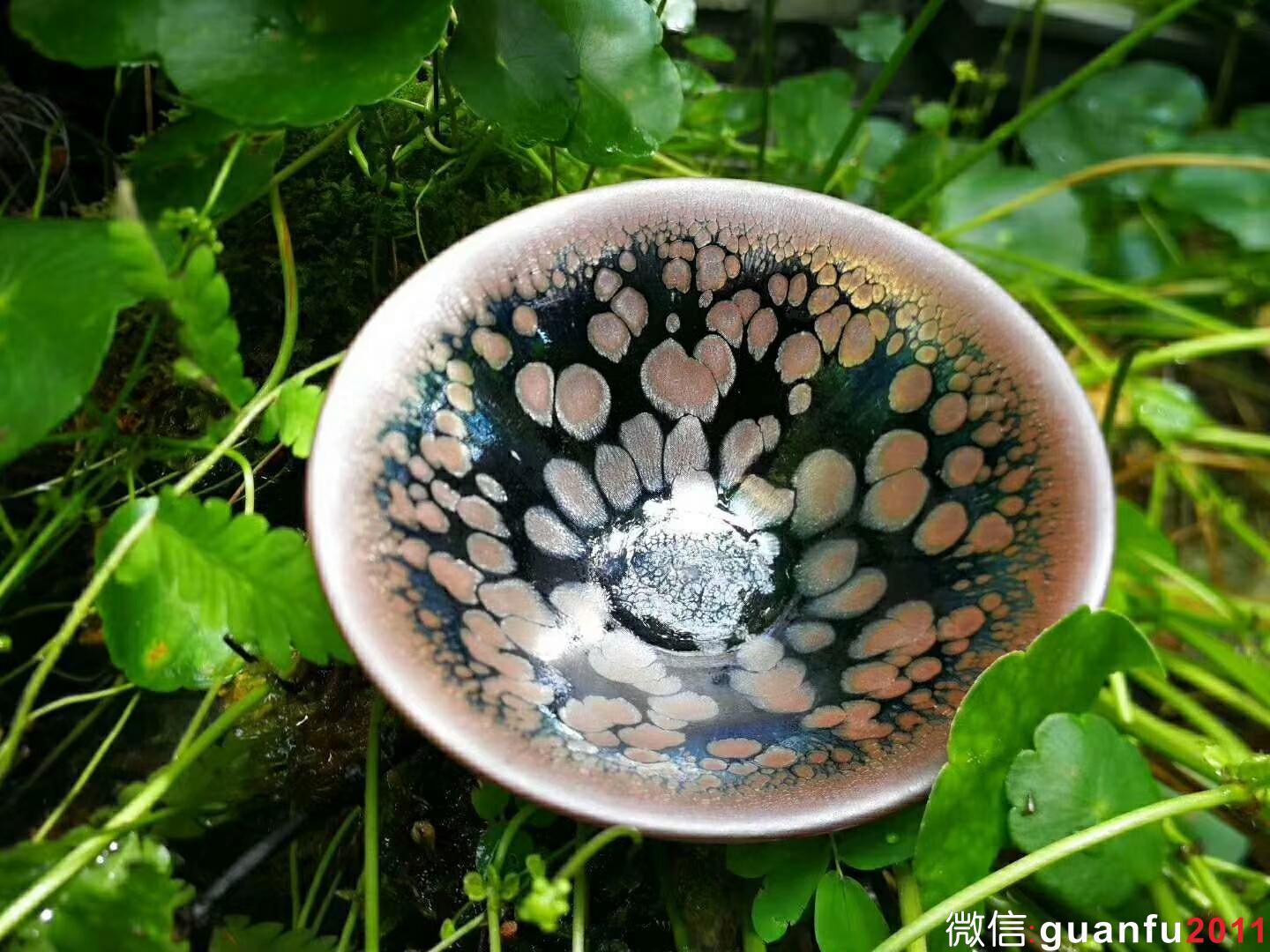 mmexport1529832805634