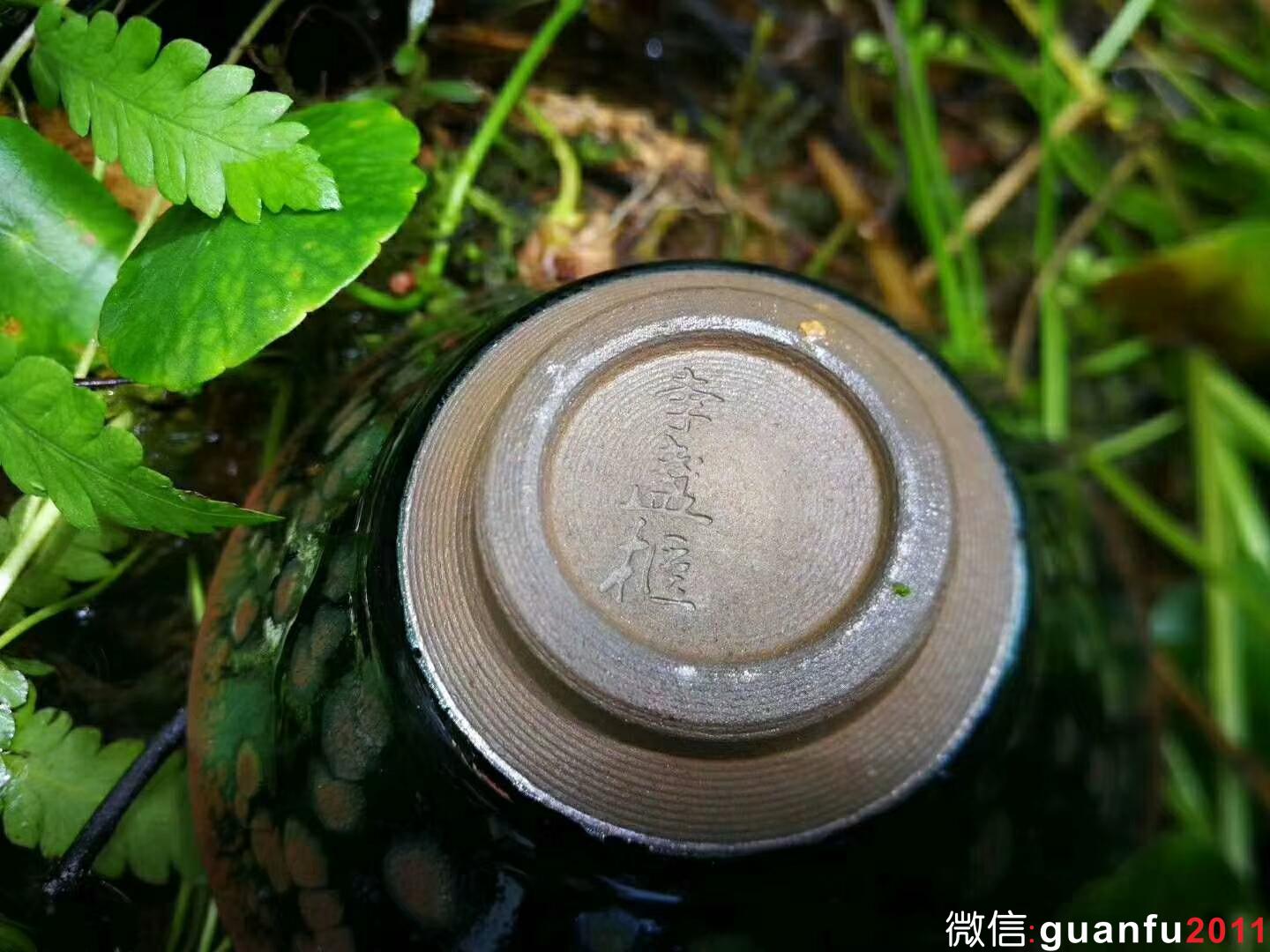 mmexport1529832820984