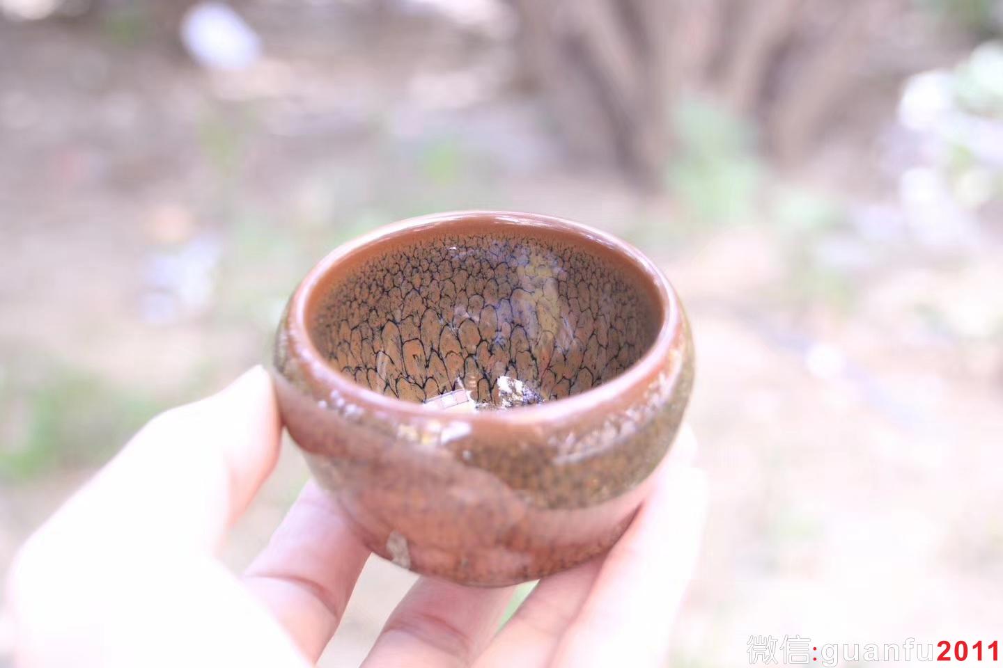 mmexport1529894492311