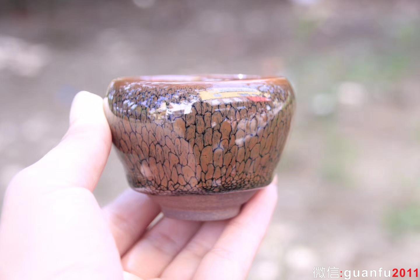 mmexport1529894497935