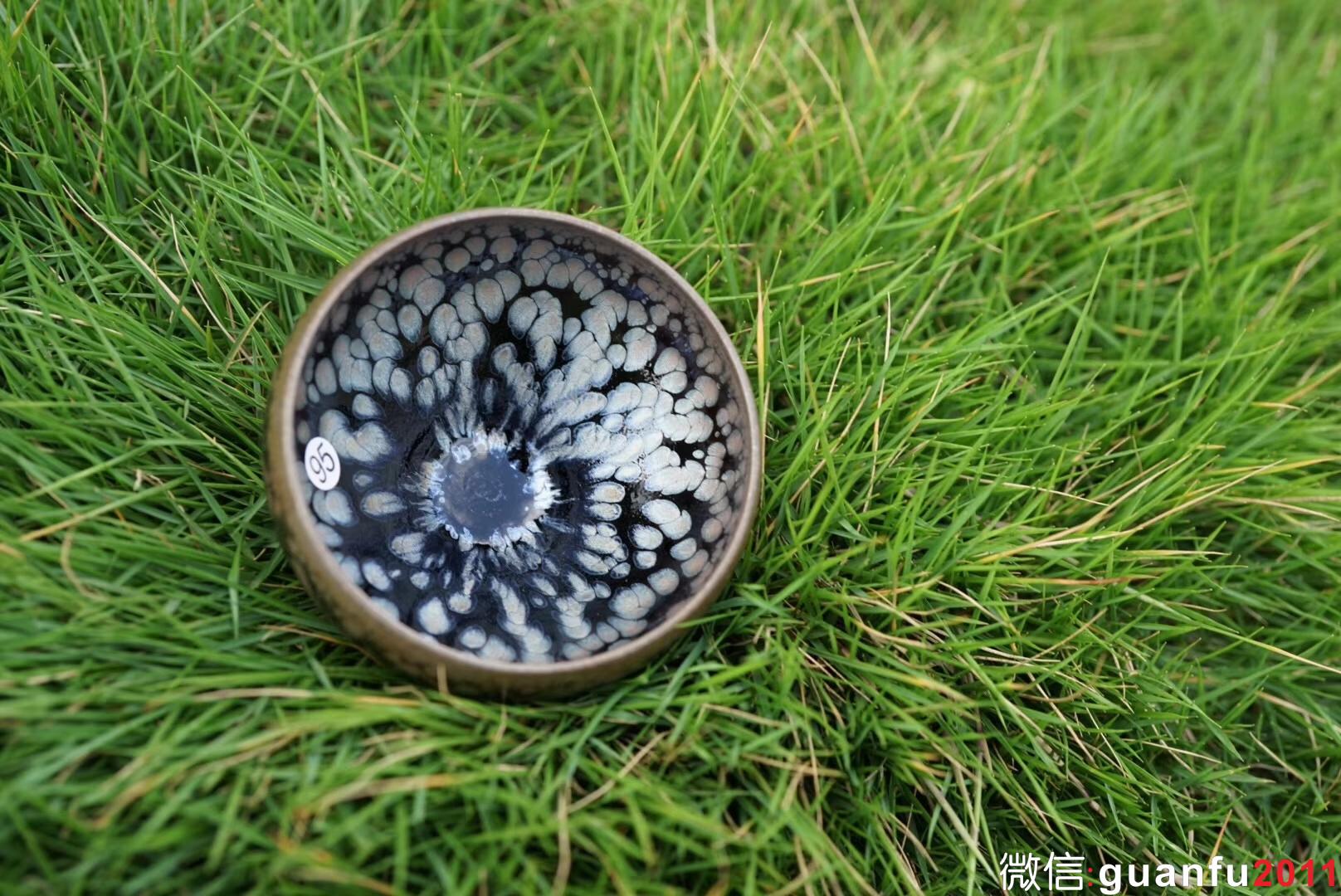 鄭勇老師  龍顏