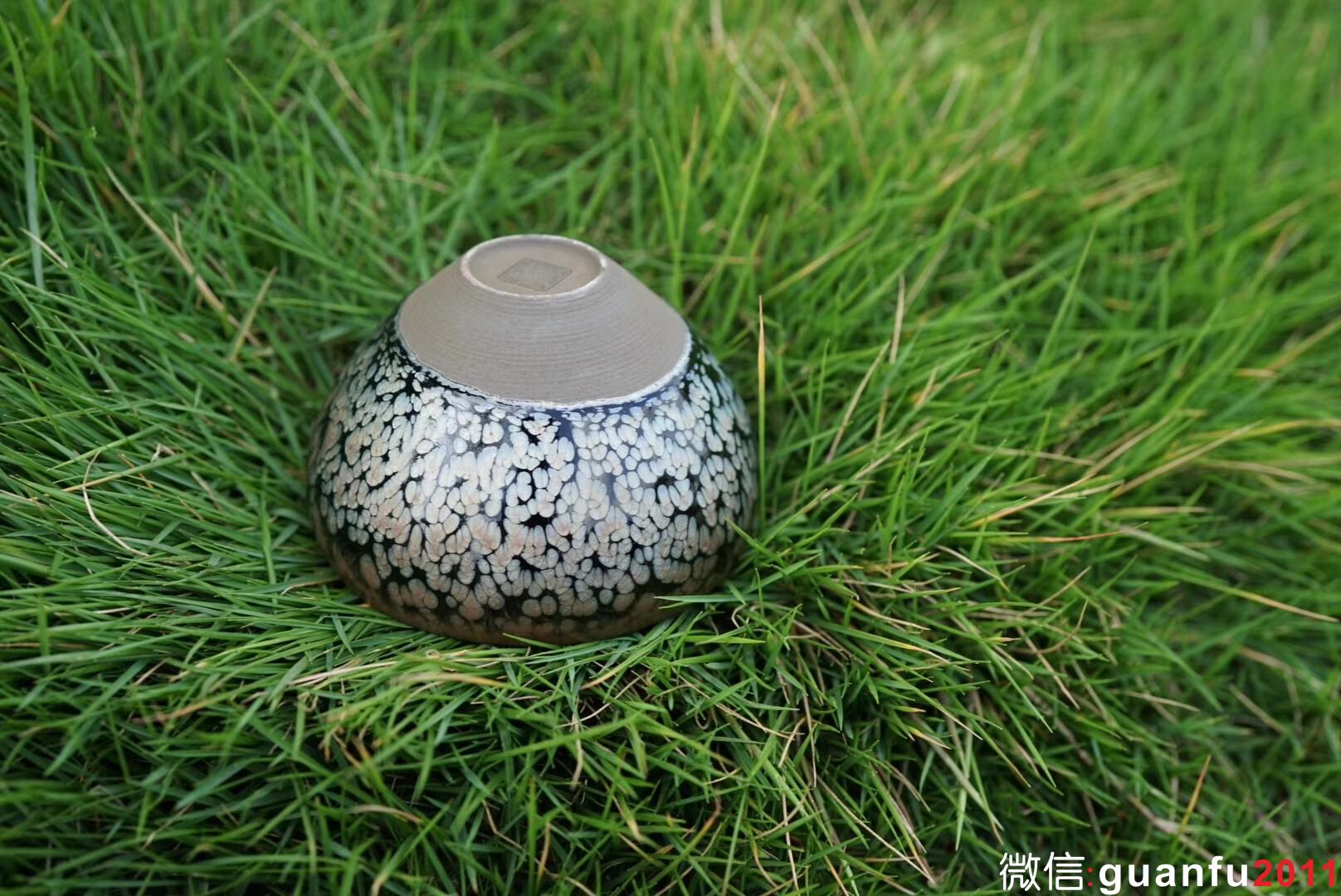 鄭勇老師  龍顏