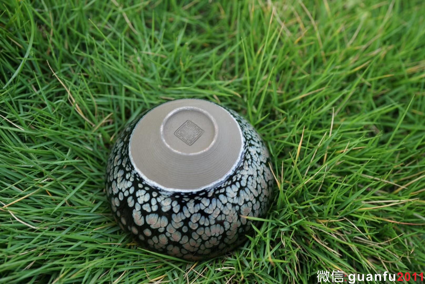 鄭勇老師  龍顏