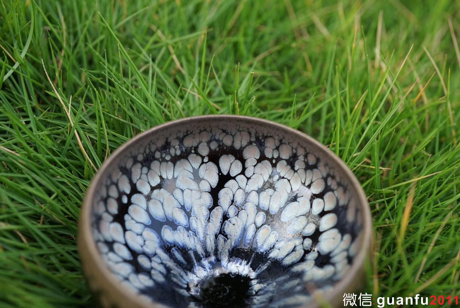 鄭勇老師  龍顏