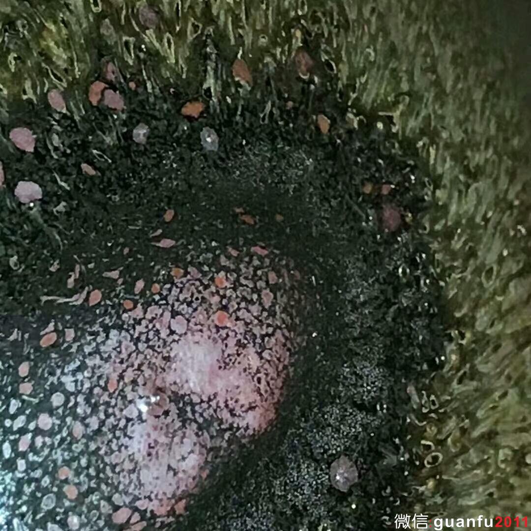 白炳友師傅 古法柴燒：口徑8*3.2