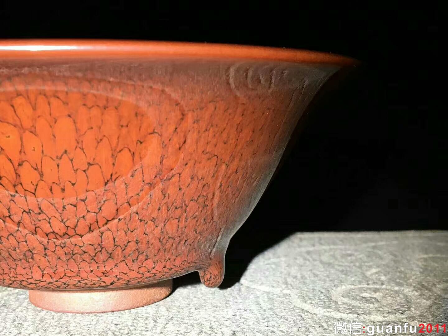 陳大鵬老師 紅鷓鴣