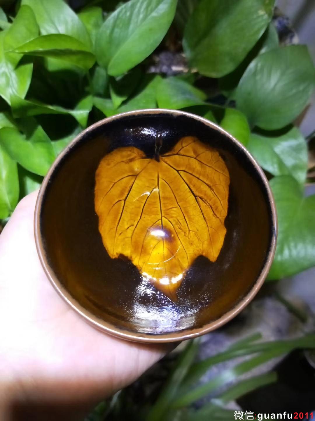 mmexport1530165199225