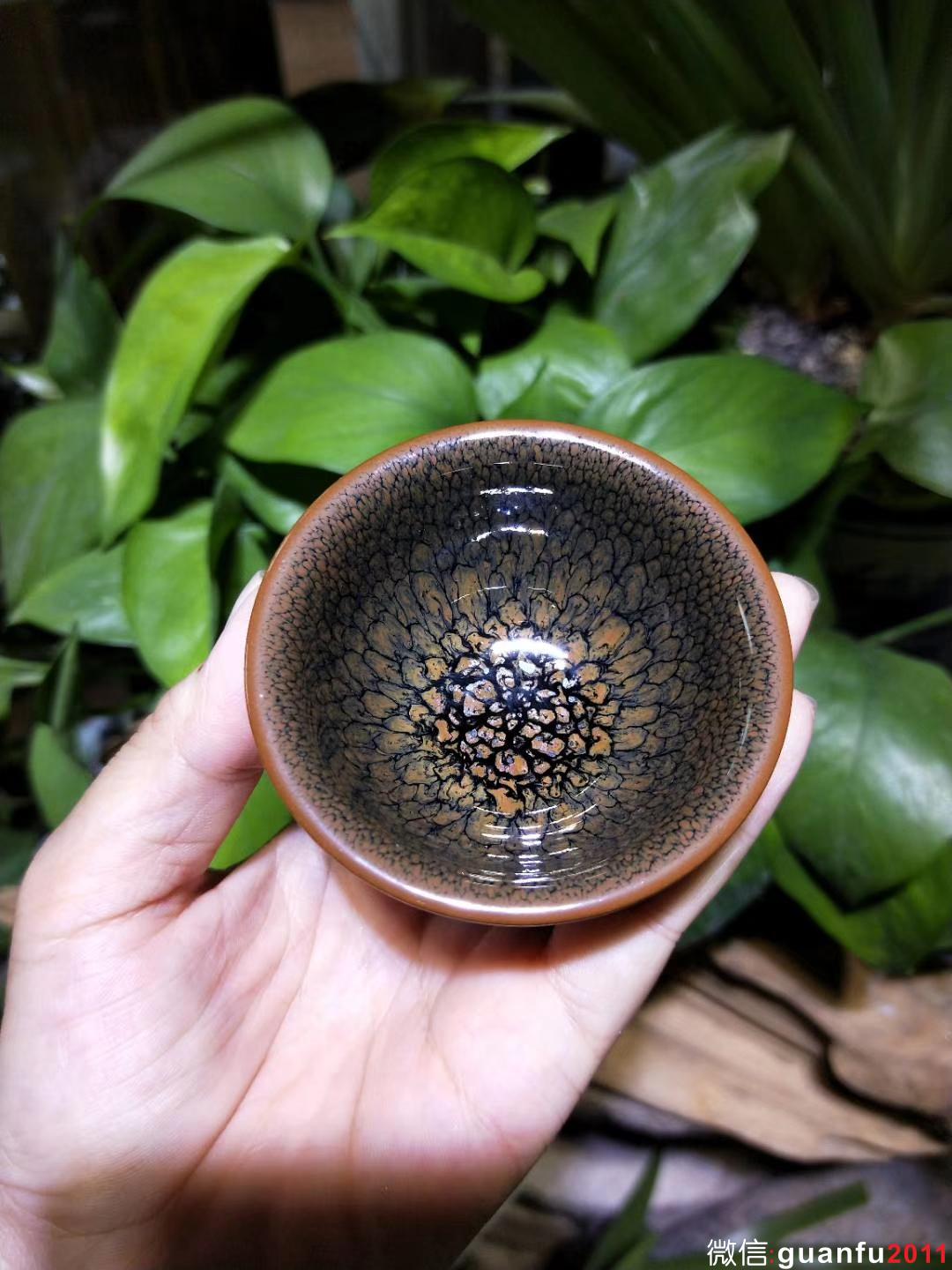 陳大鵬老師 6.8口徑 黃鷓鴣