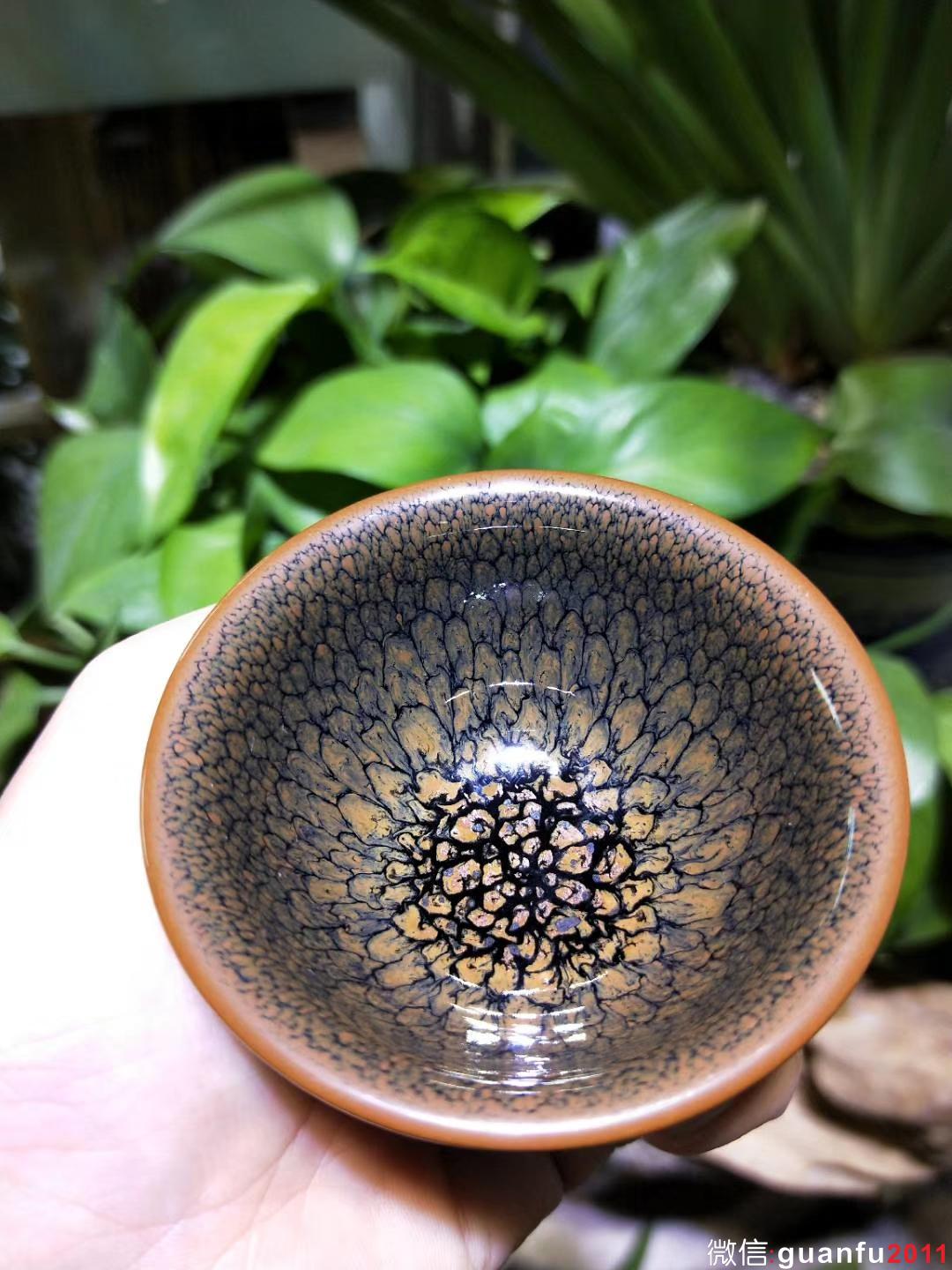 陳大鵬老師 6.8口徑 黃鷓鴣