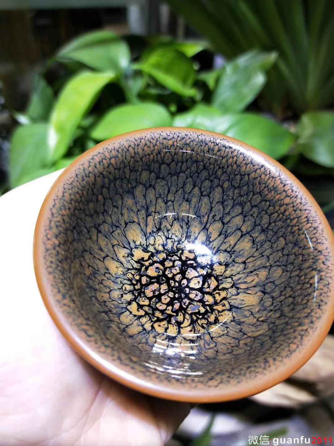 陳大鵬老師 6.8口徑 黃鷓鴣