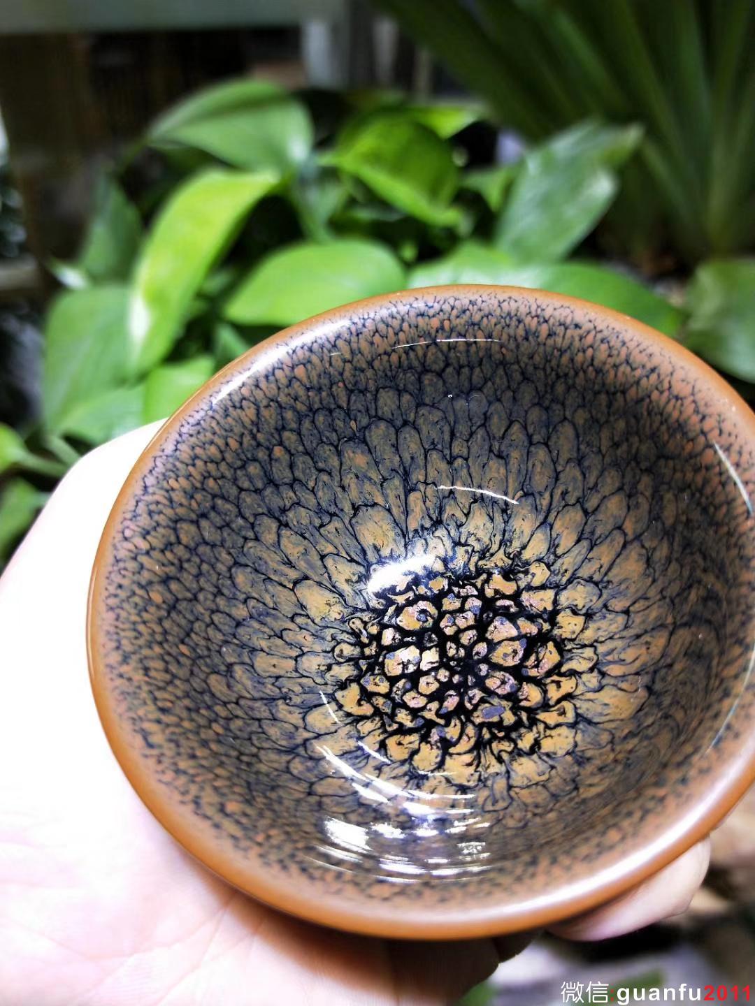 陳大鵬老師 6.8口徑 黃鷓鴣