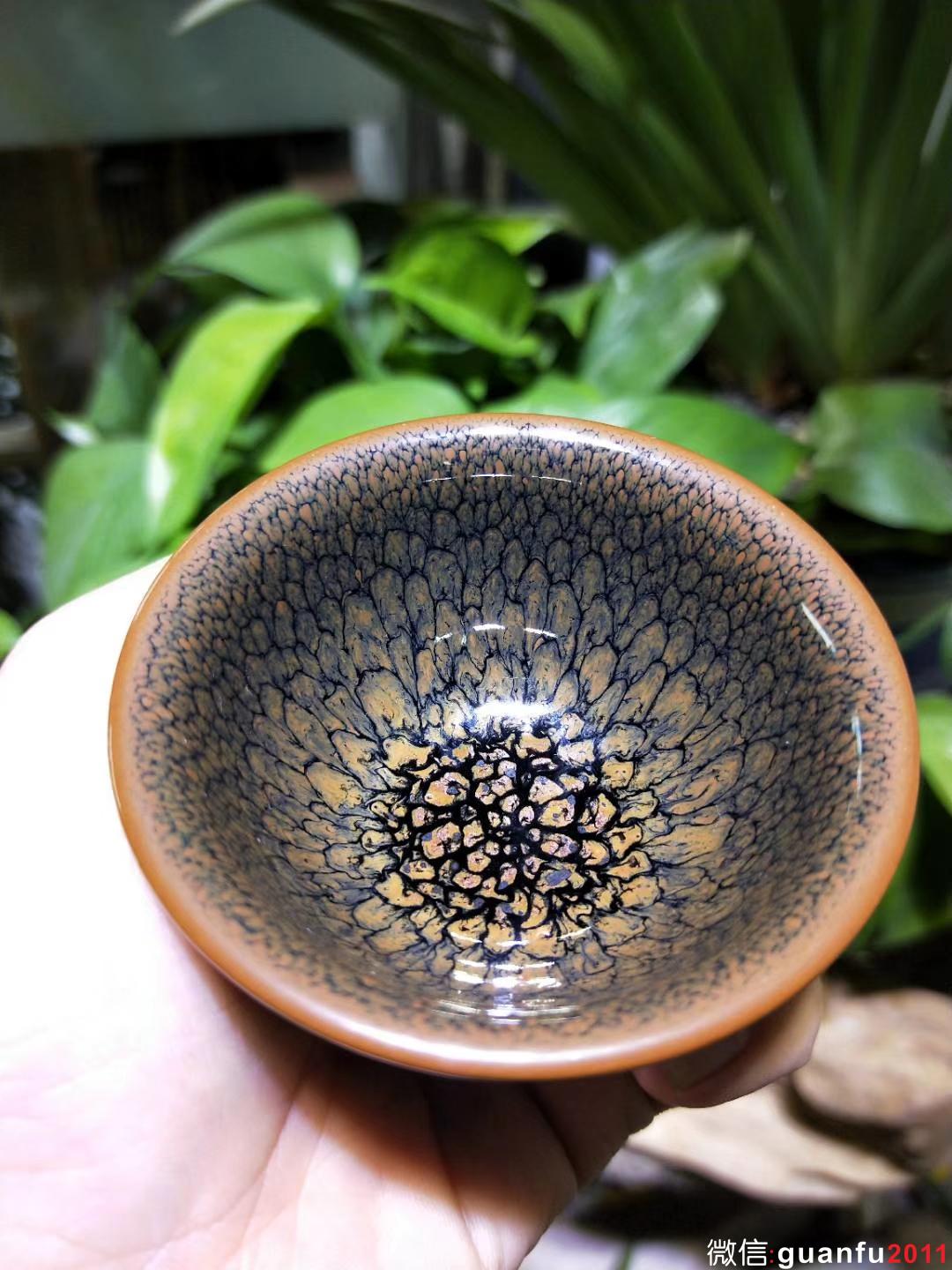 陳大鵬老師 6.8口徑 黃鷓鴣