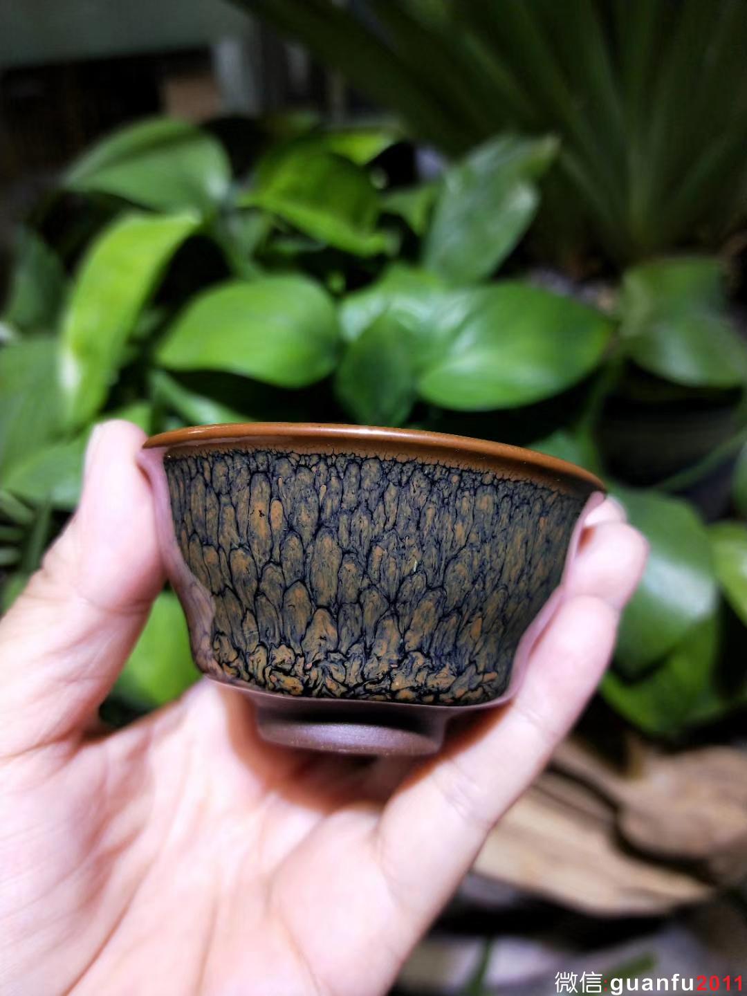 陳大鵬老師 6.8口徑 黃鷓鴣