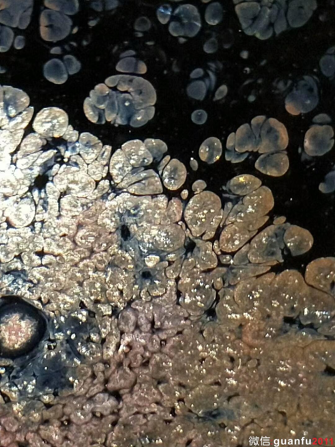 mmexport1530361167830