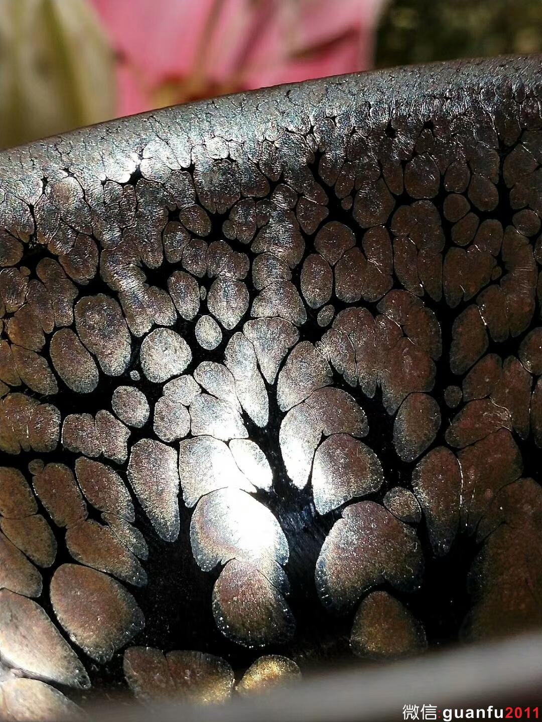 mmexport1530361942480