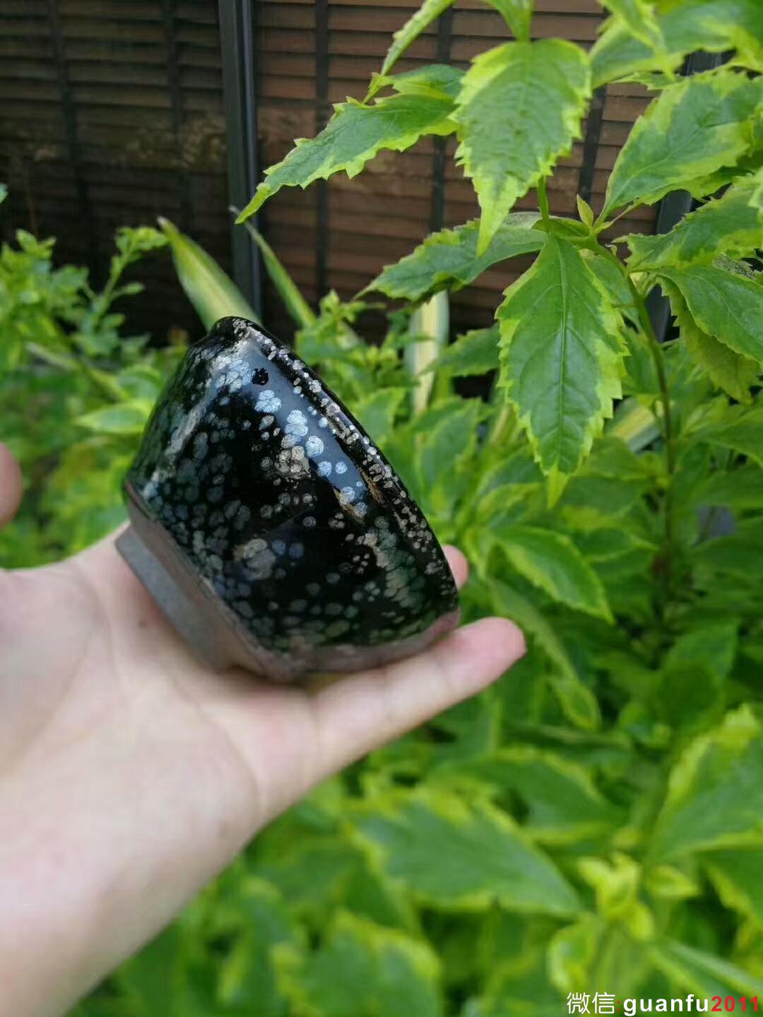 mmexport1530363328289