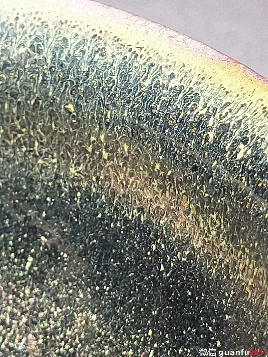 mmexport1530364576450