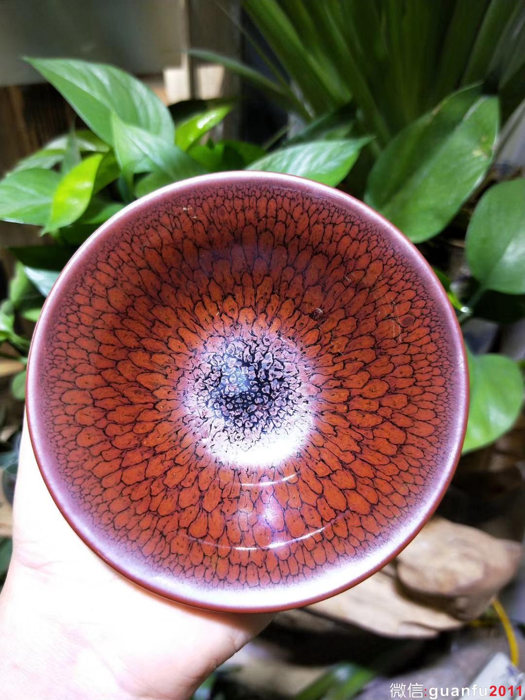 陳大鵬老師10.5印章款 鷓鴣羽毛