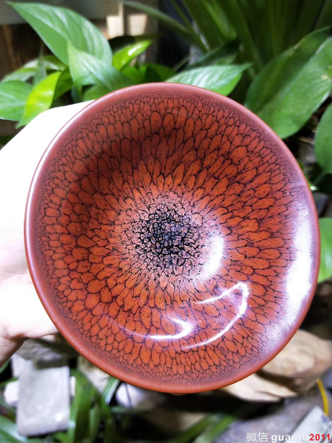 陳大鵬老師10.5印章款 鷓鴣羽毛