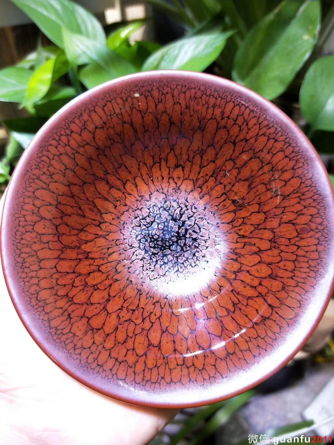 陳大鵬老師10.5印章款 鷓鴣羽毛