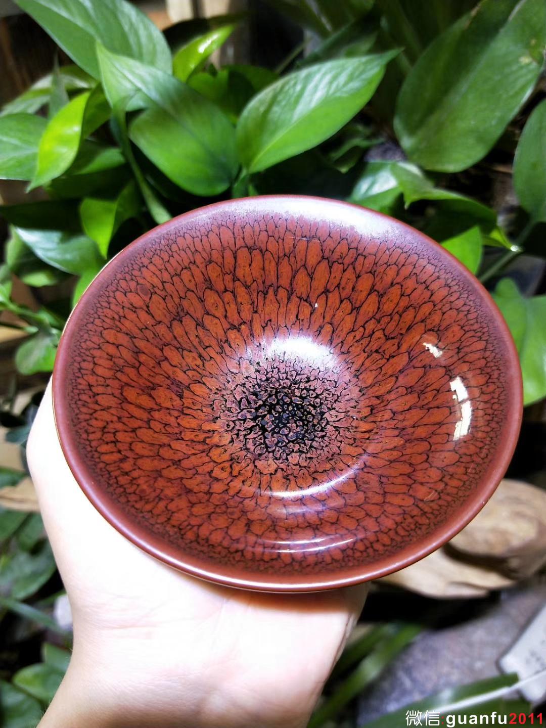 陳大鵬老師10.5印章款 鷓鴣羽毛