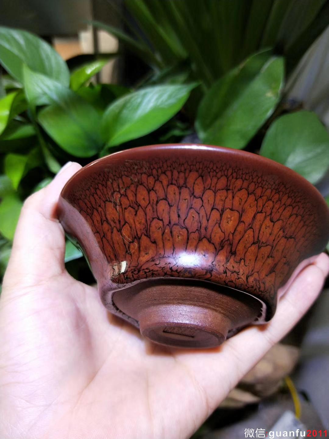 陳大鵬老師10.5印章款 鷓鴣羽毛